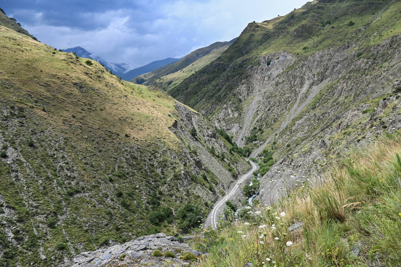 Цой-Педе, image of landscape/habitat.