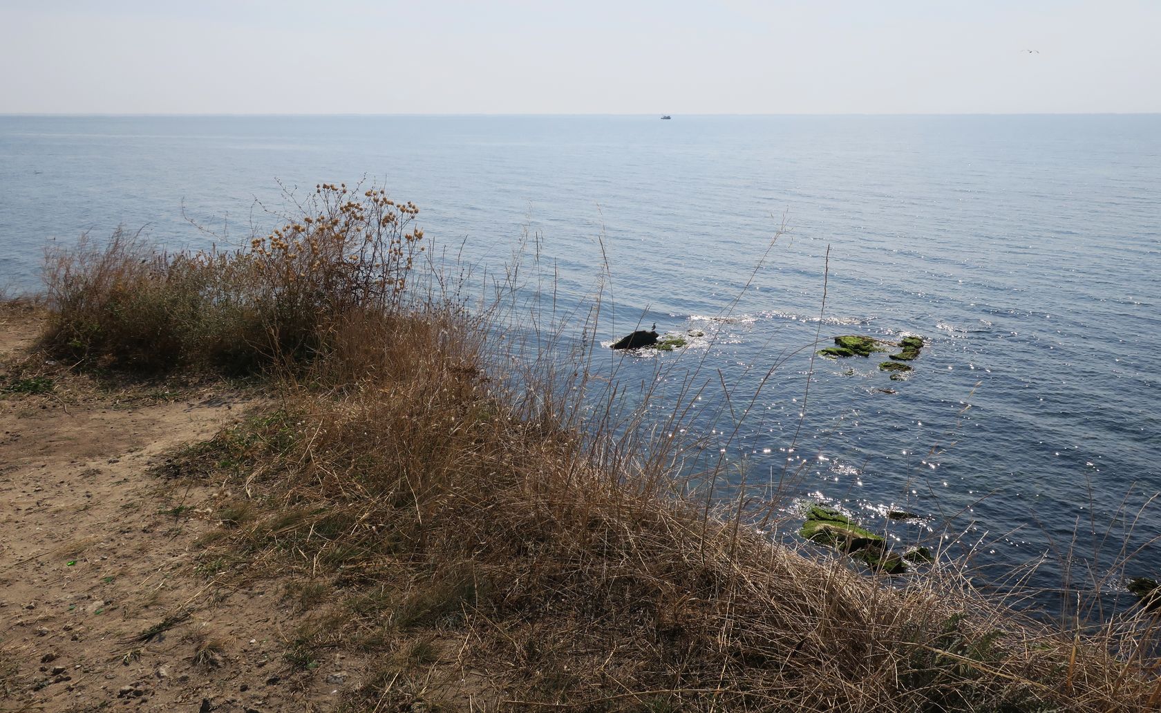 Дюны Несебра, image of landscape/habitat.