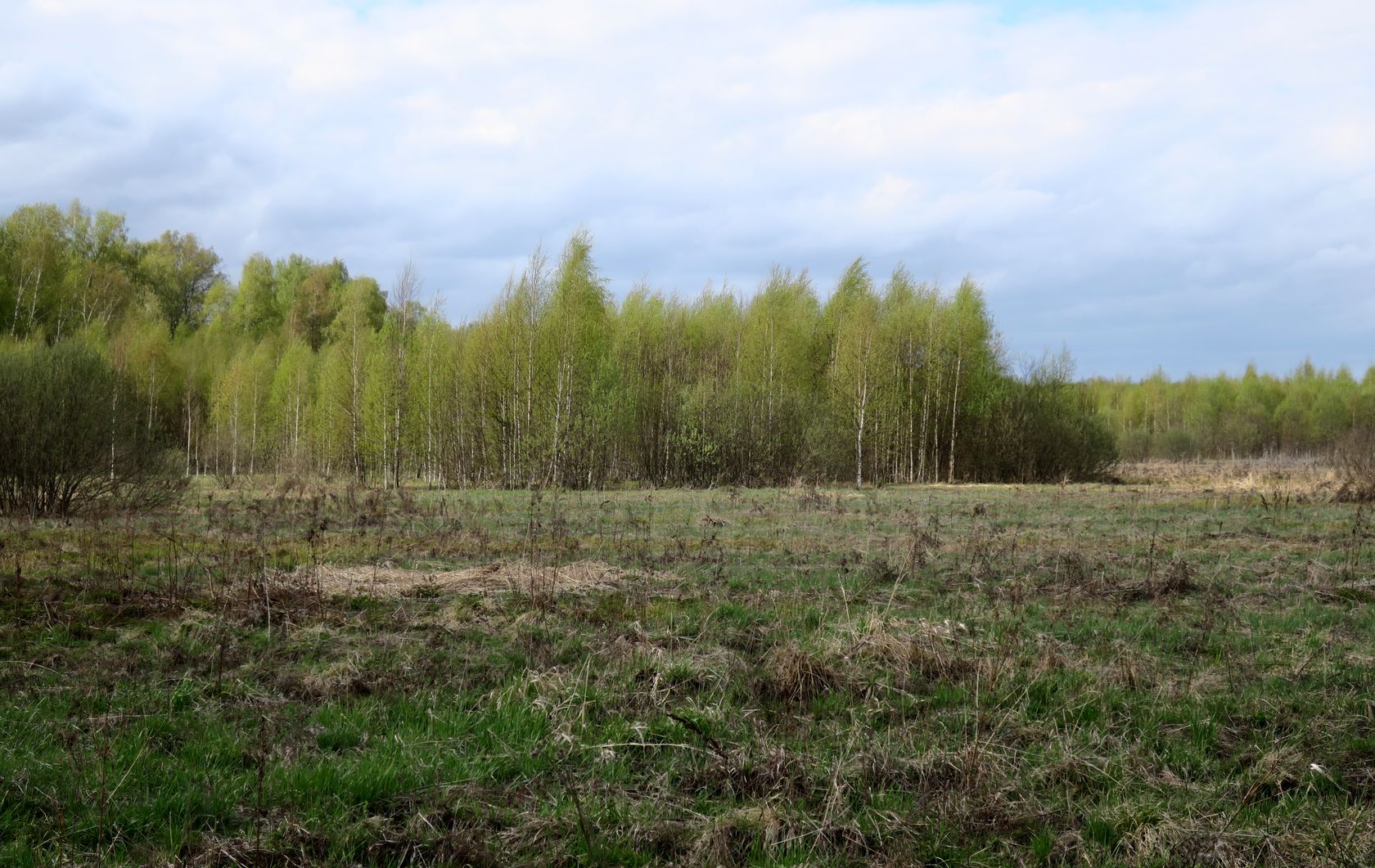 Ярцево, image of landscape/habitat.