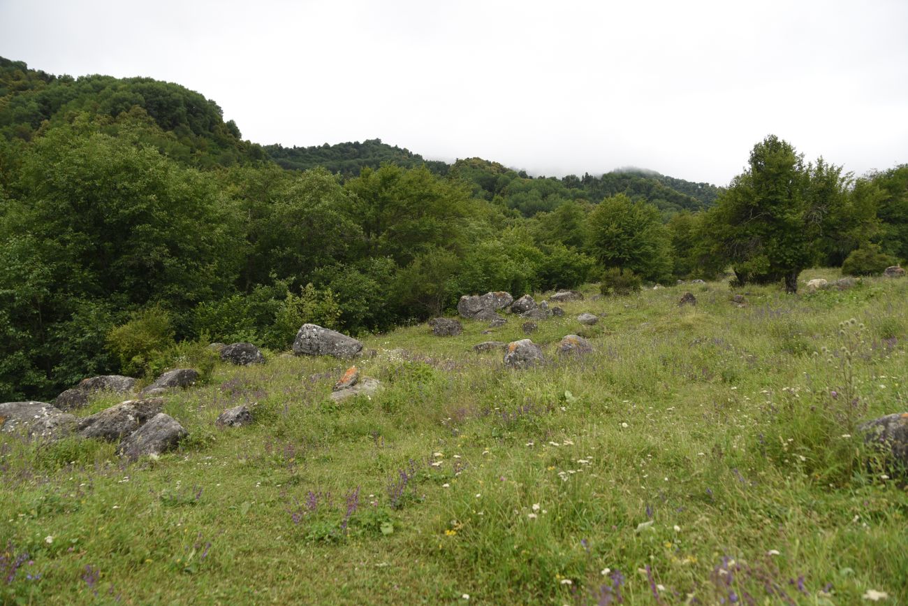 Нижний Кяхк и окрестности, image of landscape/habitat.