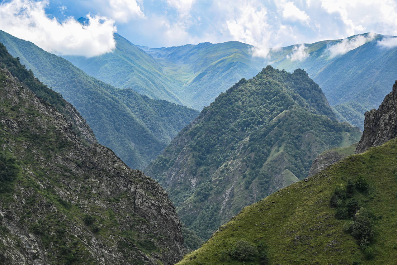 Цой-Педе, image of landscape/habitat.