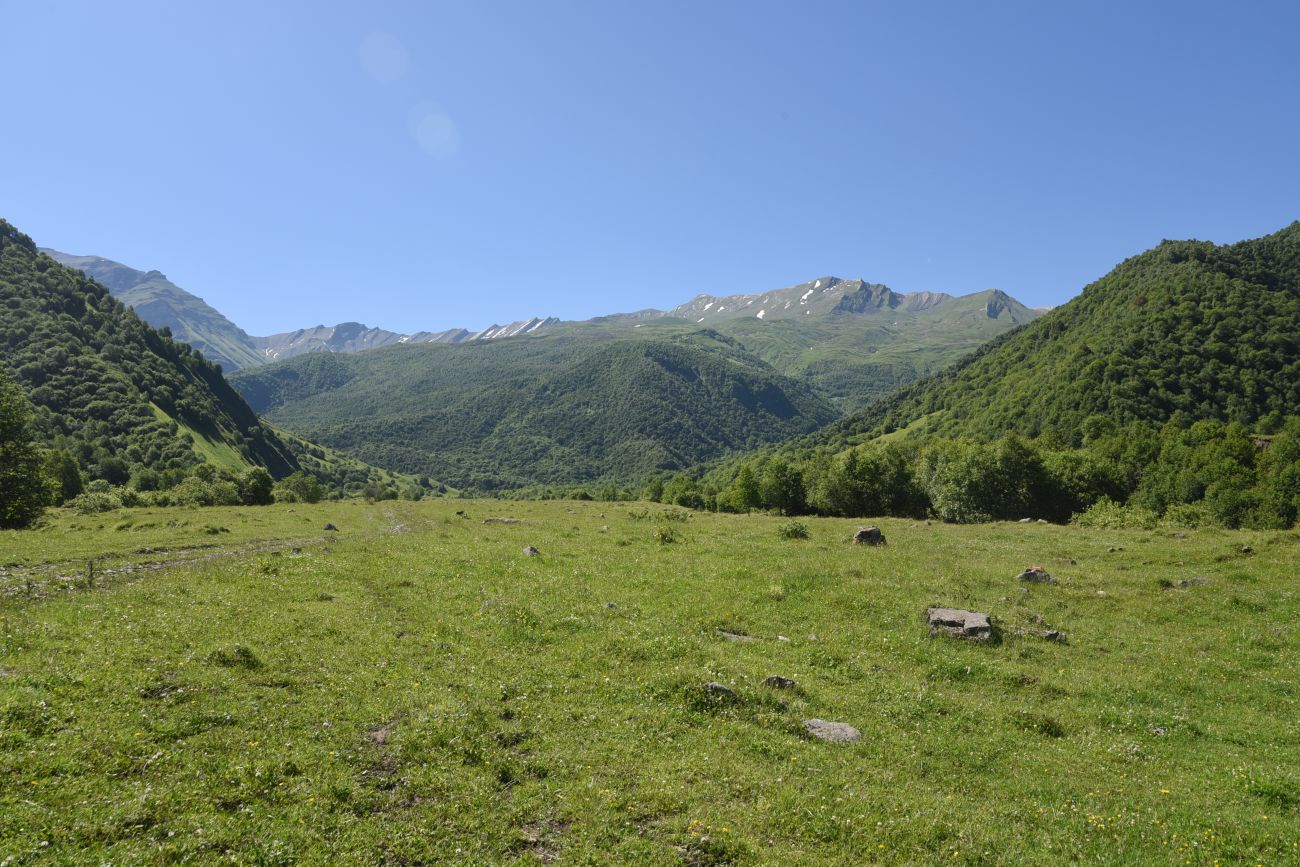 Селение Чайры и окрестности, image of landscape/habitat.