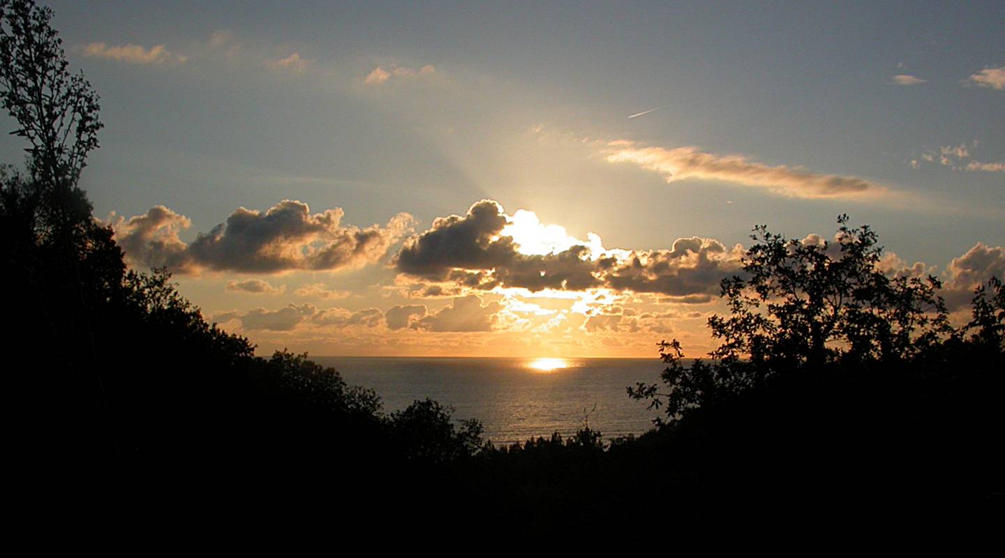 Лазаревское, image of landscape/habitat.