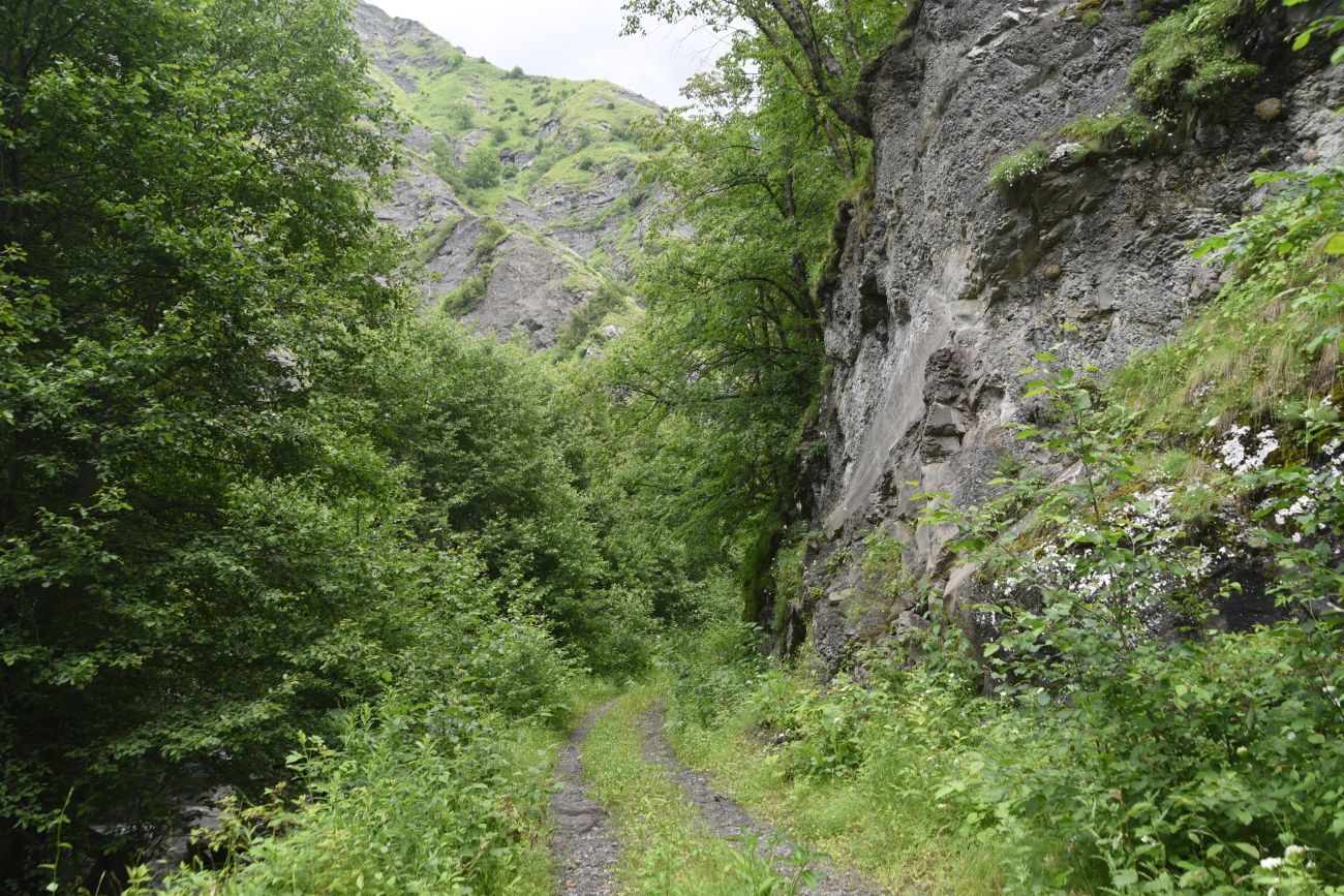 Окрестности водопада Цеси, image of landscape/habitat.