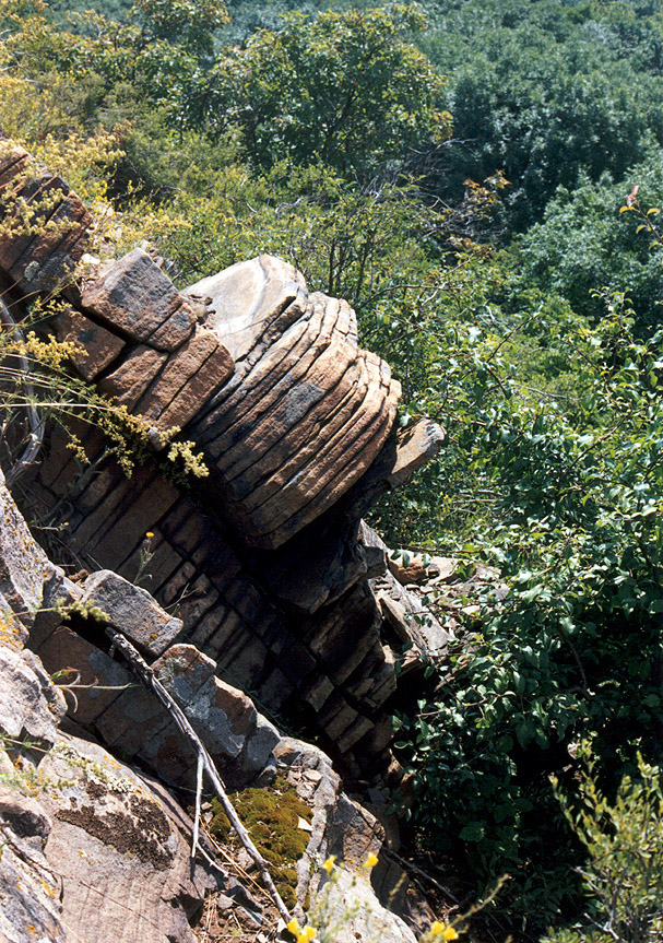 Королевские скалы, image of landscape/habitat.