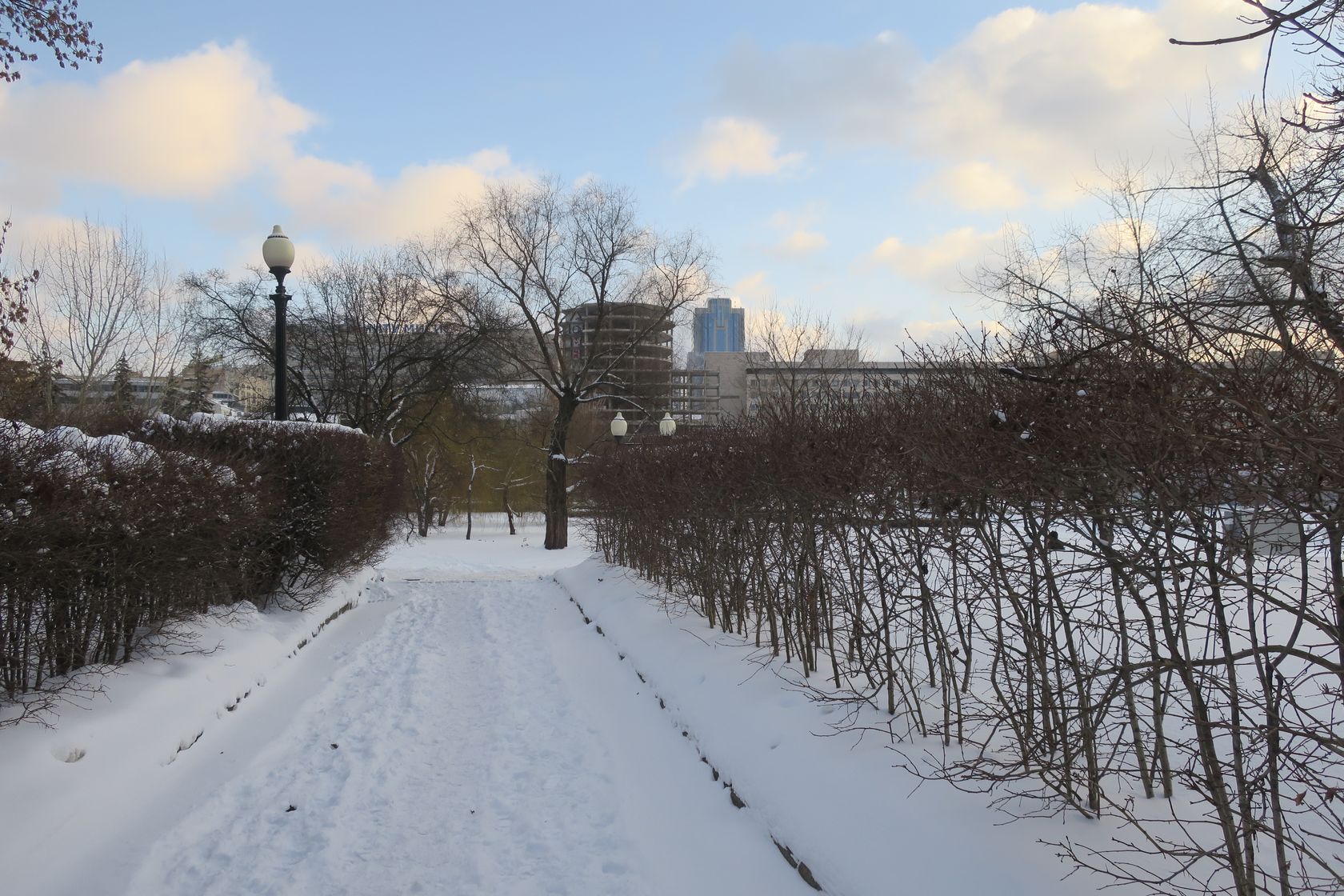 Парк Горького, image of landscape/habitat.