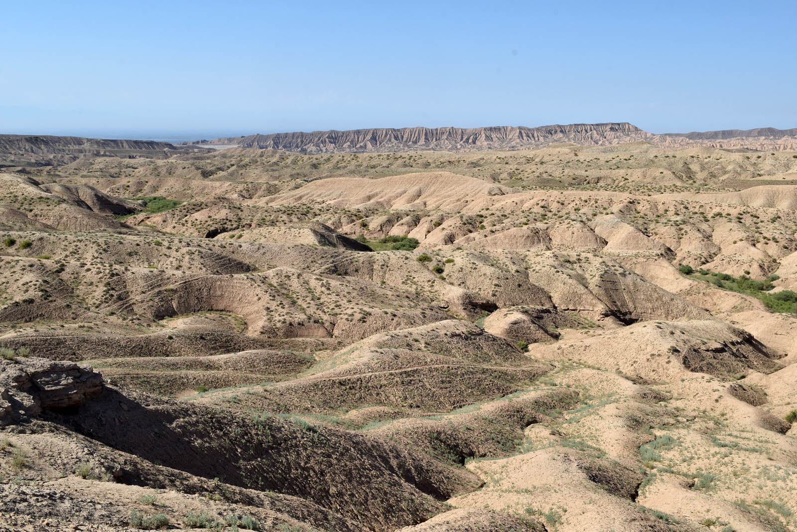 Окрестности местности Жийдабулак, image of landscape/habitat.