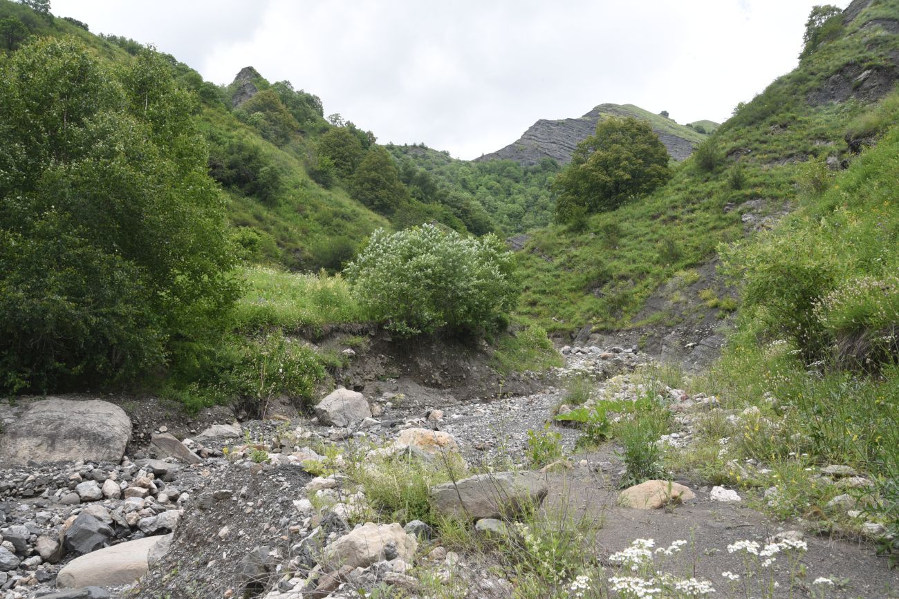 Ещё один левый приток Цесиахк, image of landscape/habitat.