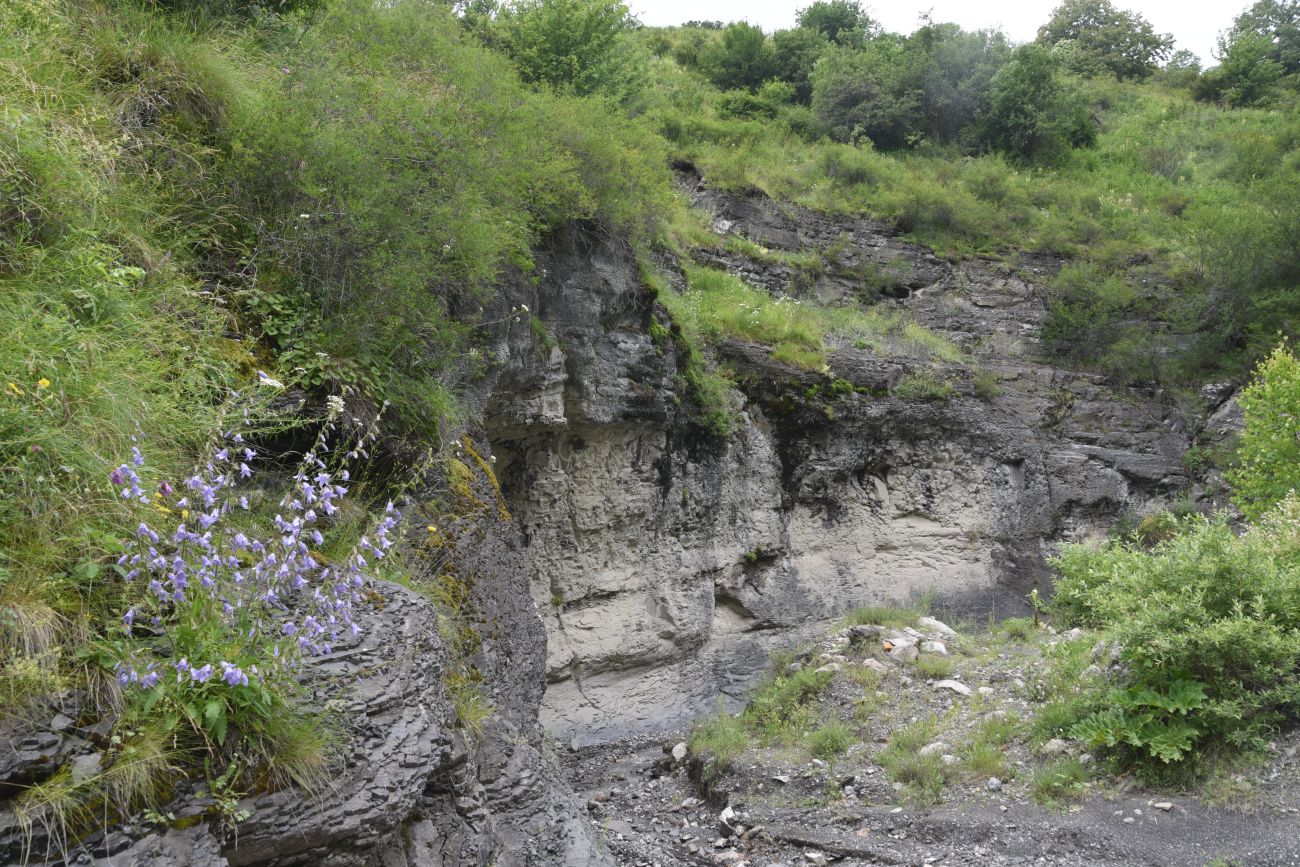 Ещё один левый приток Цесиахк, image of landscape/habitat.