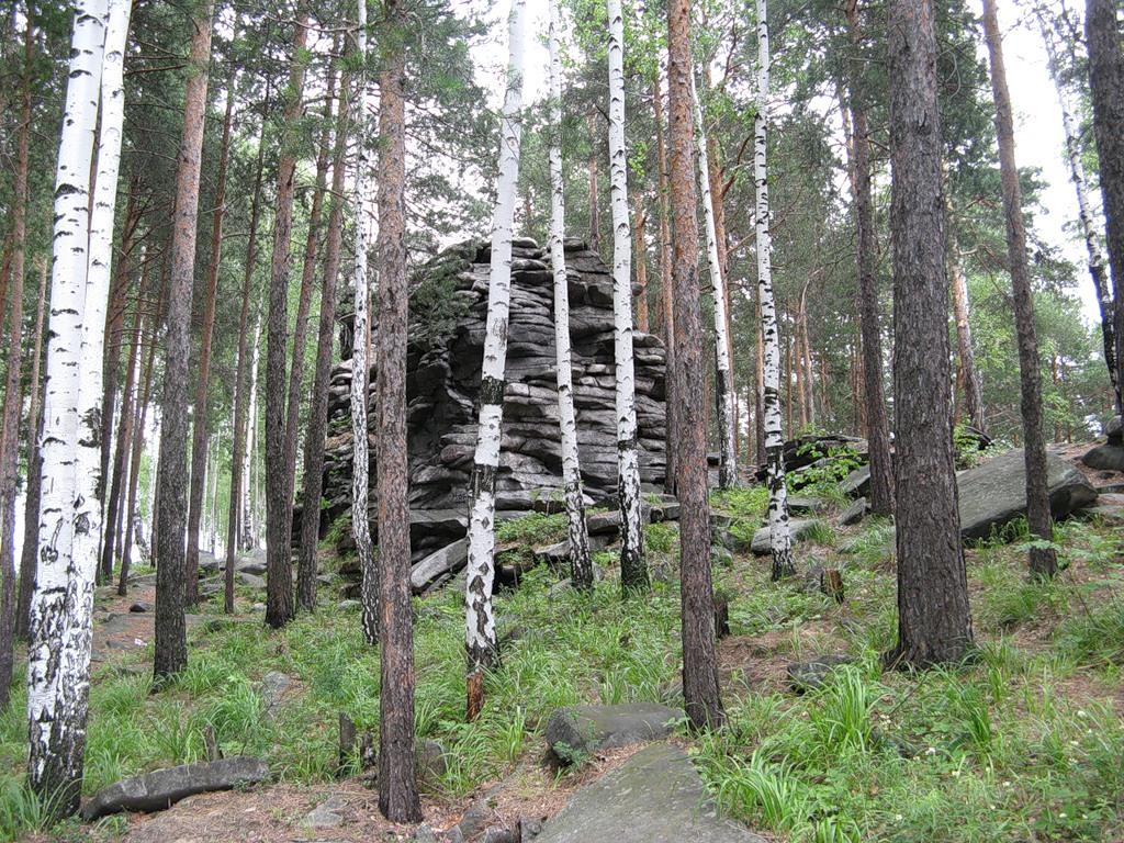 Скалы Петра Гронского, image of landscape/habitat.