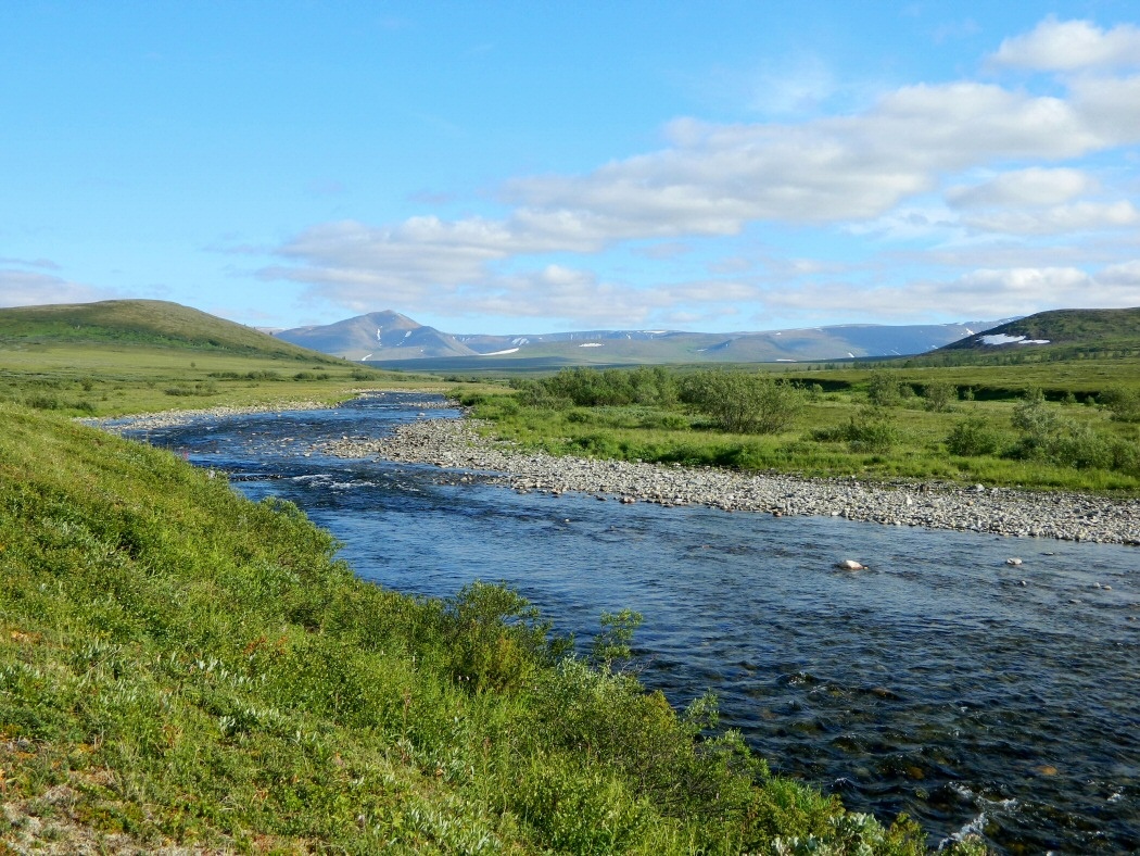 Левый Кечпель, image of landscape/habitat.