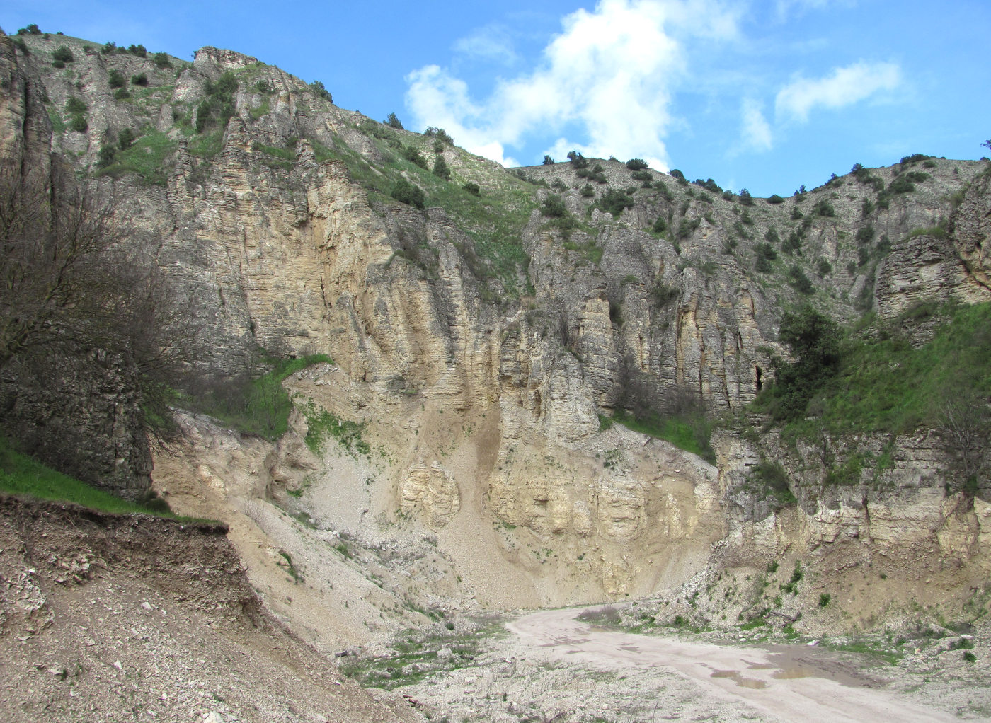 Талги, image of landscape/habitat.