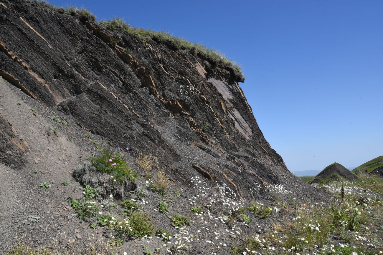 Окрестности горы Чархунышкорт, image of landscape/habitat.