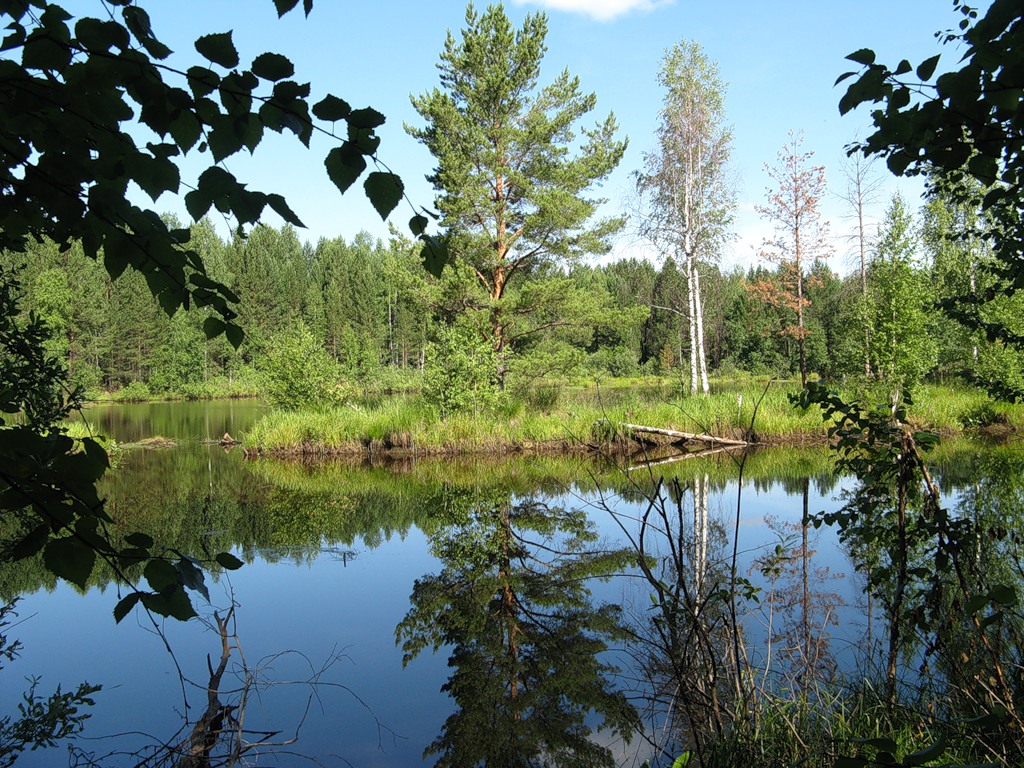 Озёрный, image of landscape/habitat.