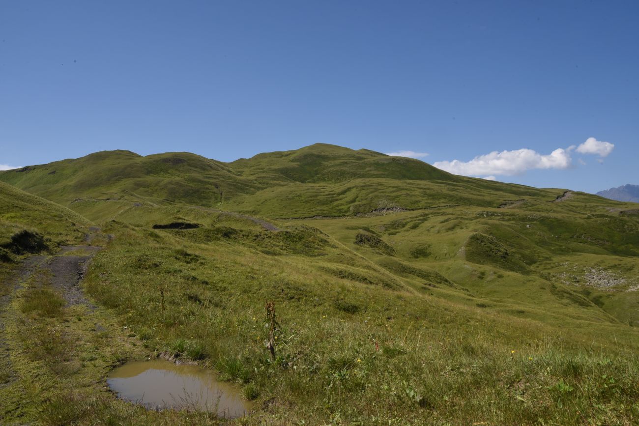 Окрестности горы Чархунышкорт, image of landscape/habitat.