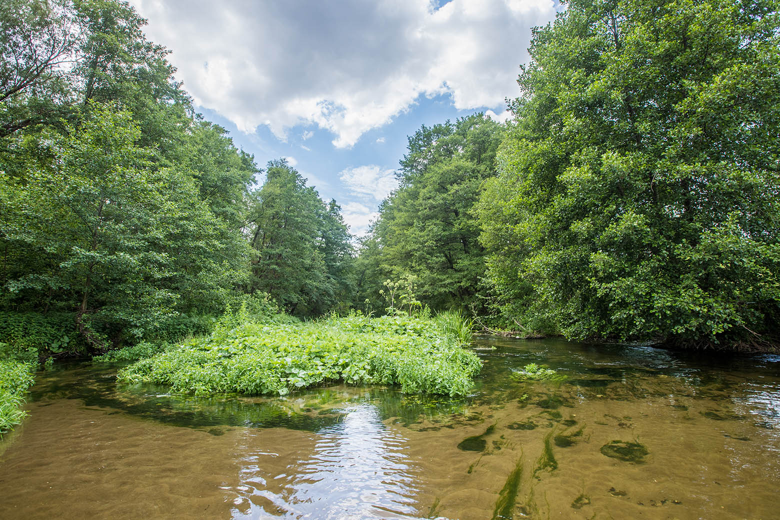 Песковатка, image of landscape/habitat.