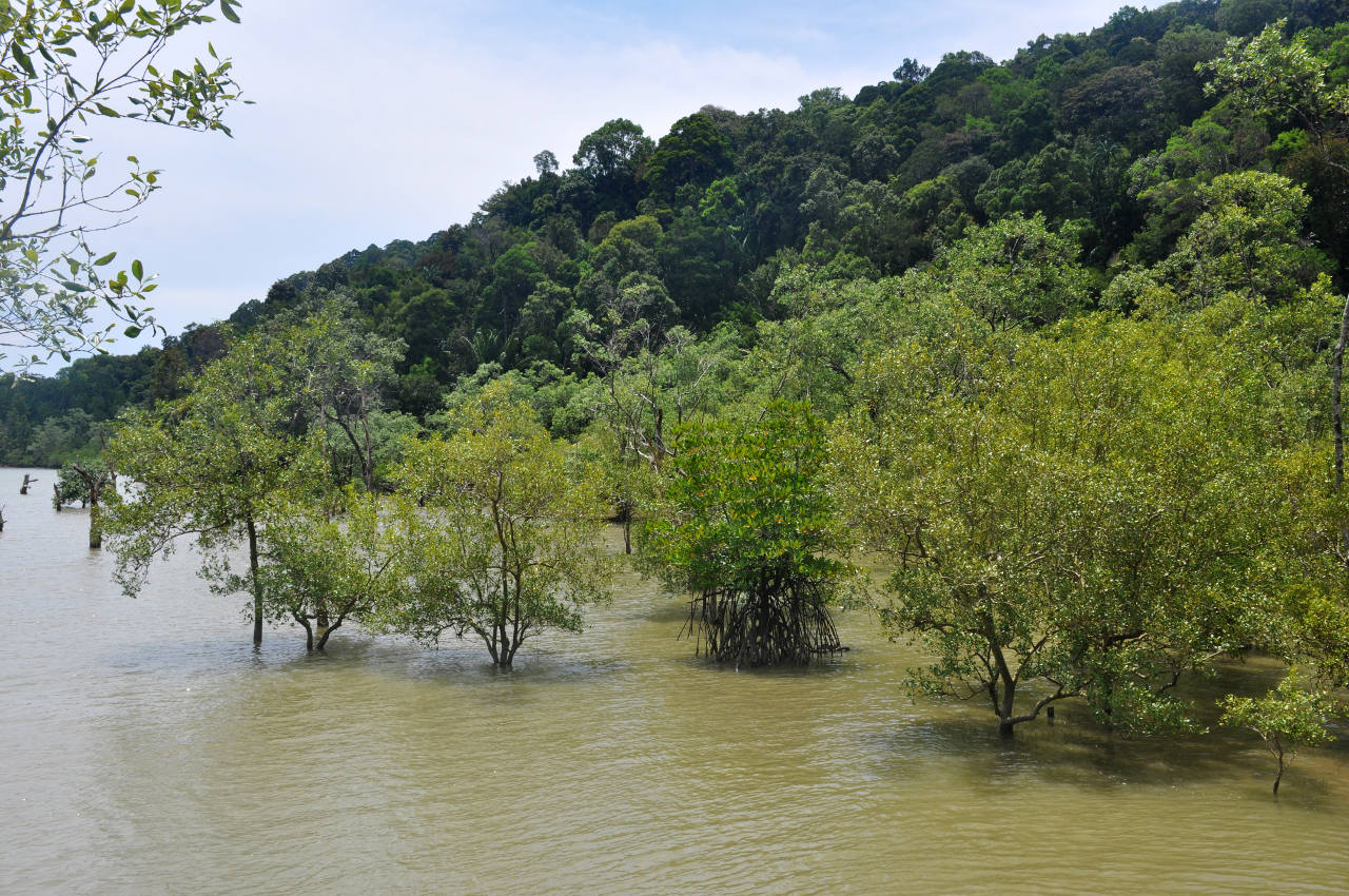 Национальный парк "Бако", image of landscape/habitat.