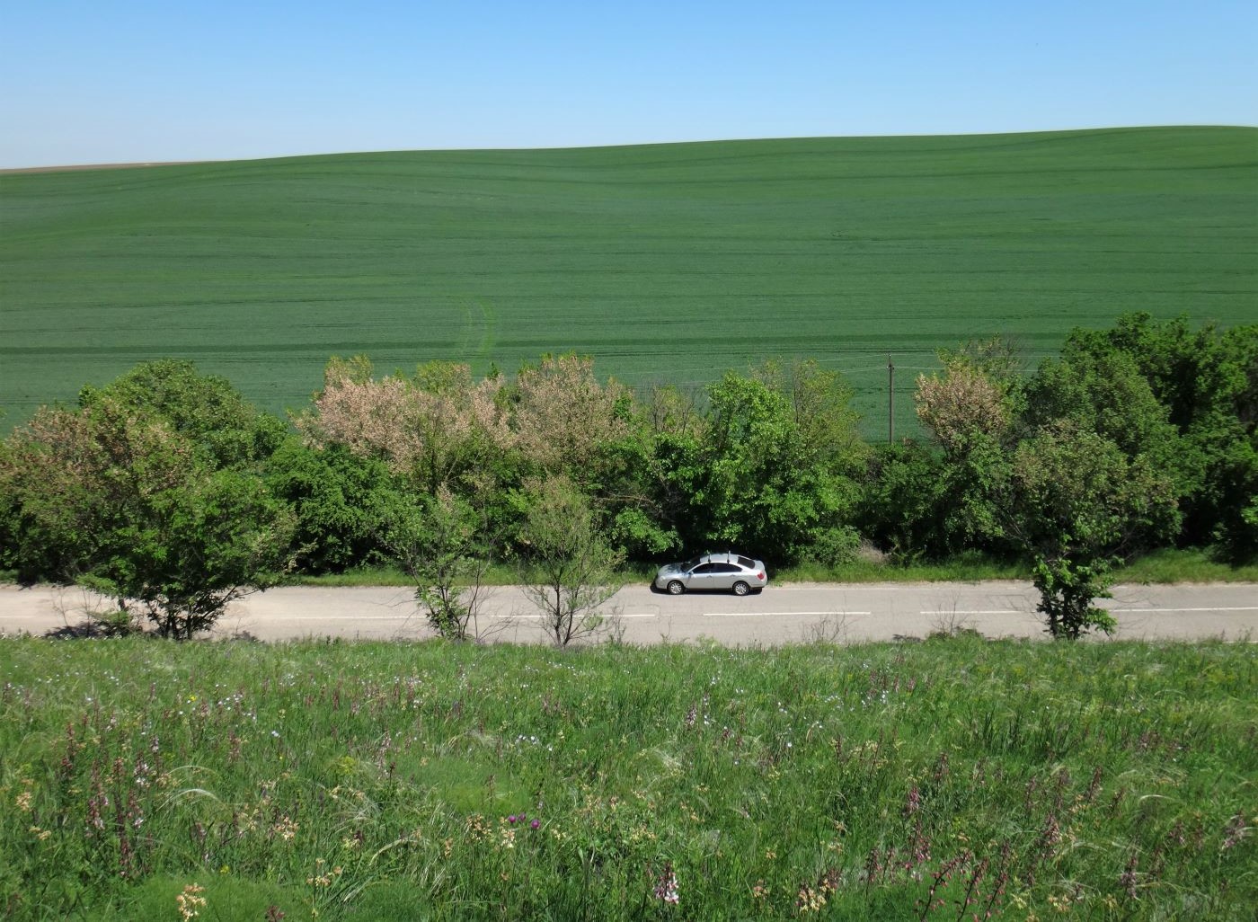 Терский хребет, image of landscape/habitat.