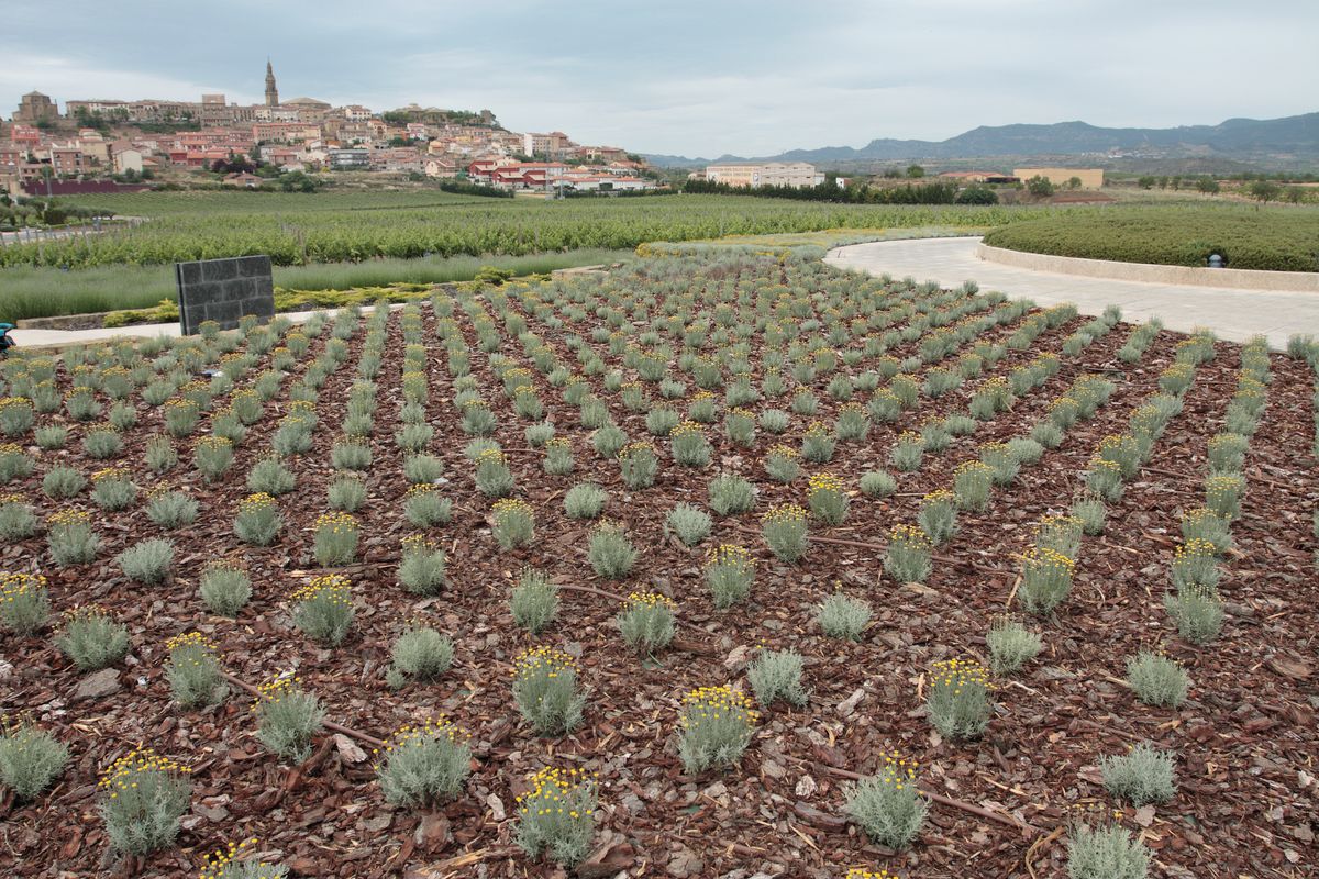 Ла-Риоха, image of landscape/habitat.