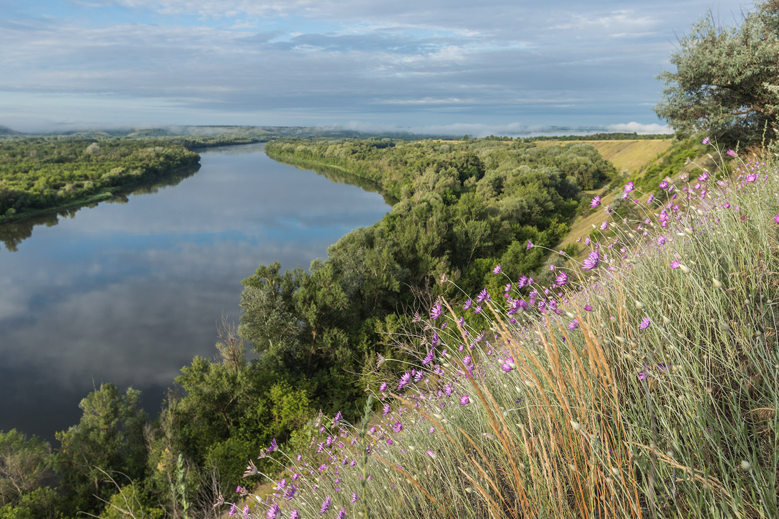 Станица Вёшенская и окрестности, image of landscape/habitat.