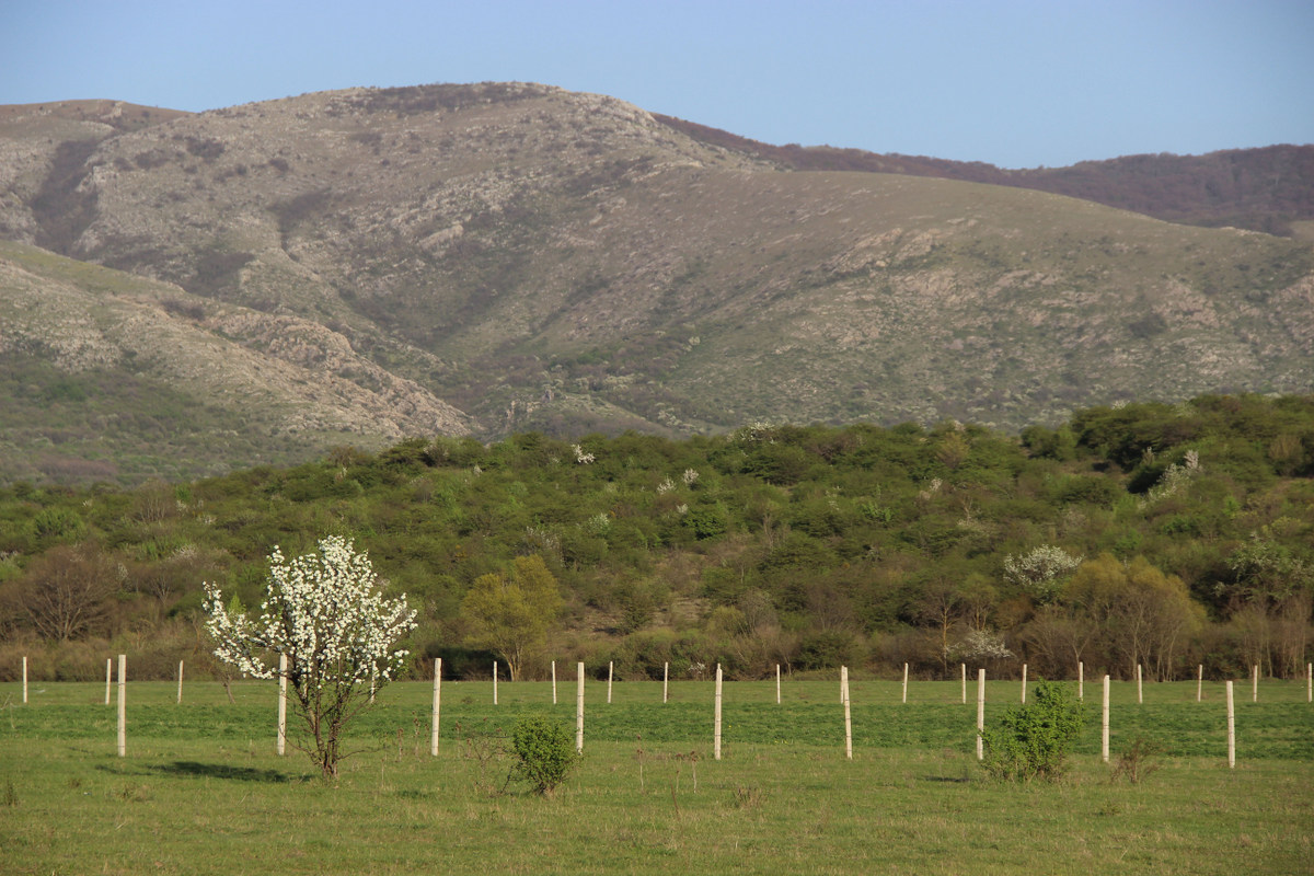 Долгоруковская яйла, image of landscape/habitat.