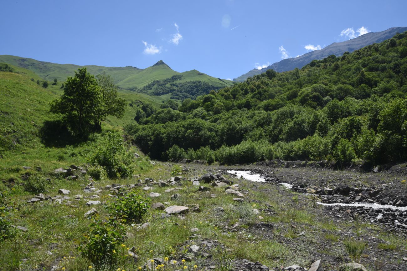 Селение Чайры и окрестности, image of landscape/habitat.