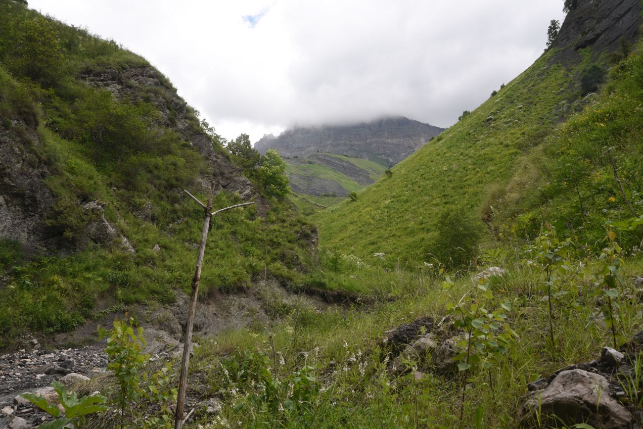 Ещё один левый приток Цесиахк, image of landscape/habitat.