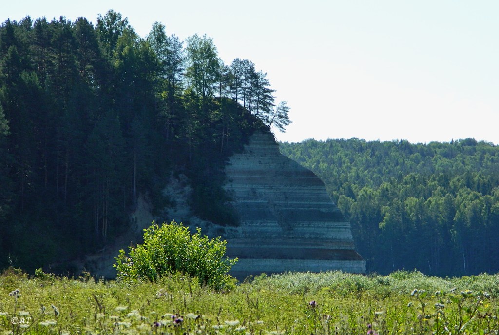 Устье Верхней Ёрги, image of landscape/habitat.