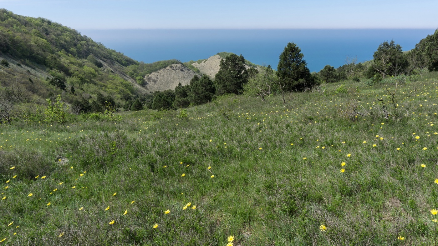 Мыс Большой Утриш, image of landscape/habitat.