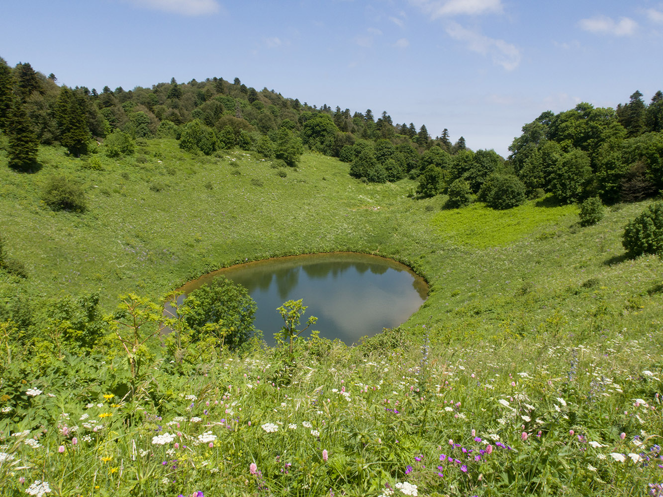 Чеше, image of landscape/habitat.