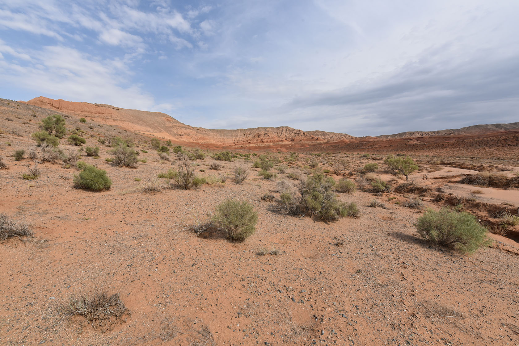 Горы Улькен-Богуты, image of landscape/habitat.