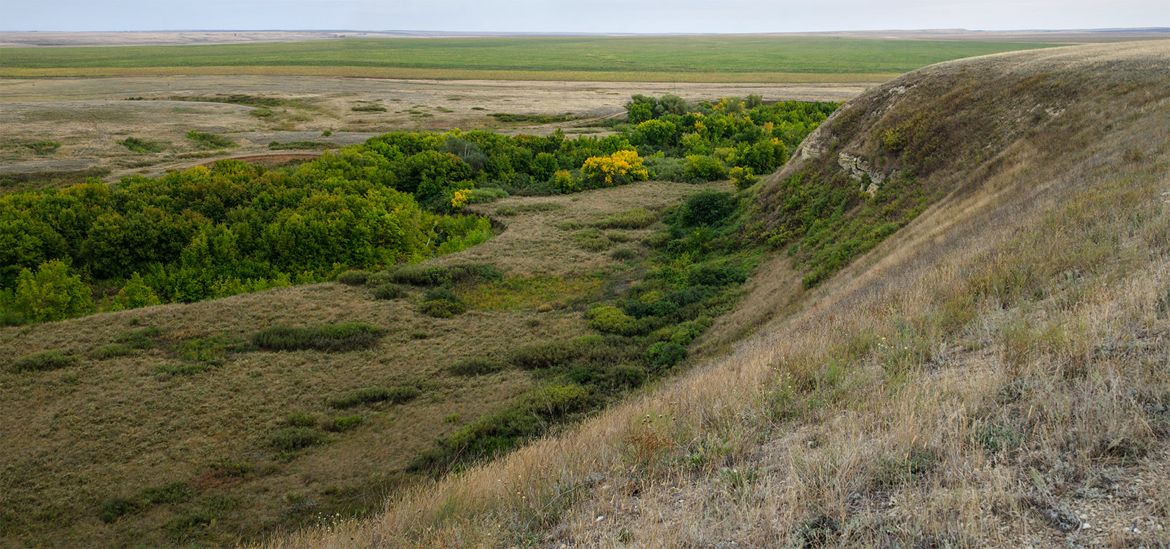 Змеиная гора, изображение ландшафта.