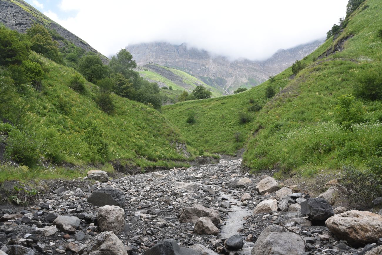 Ещё один левый приток Цесиахк, image of landscape/habitat.