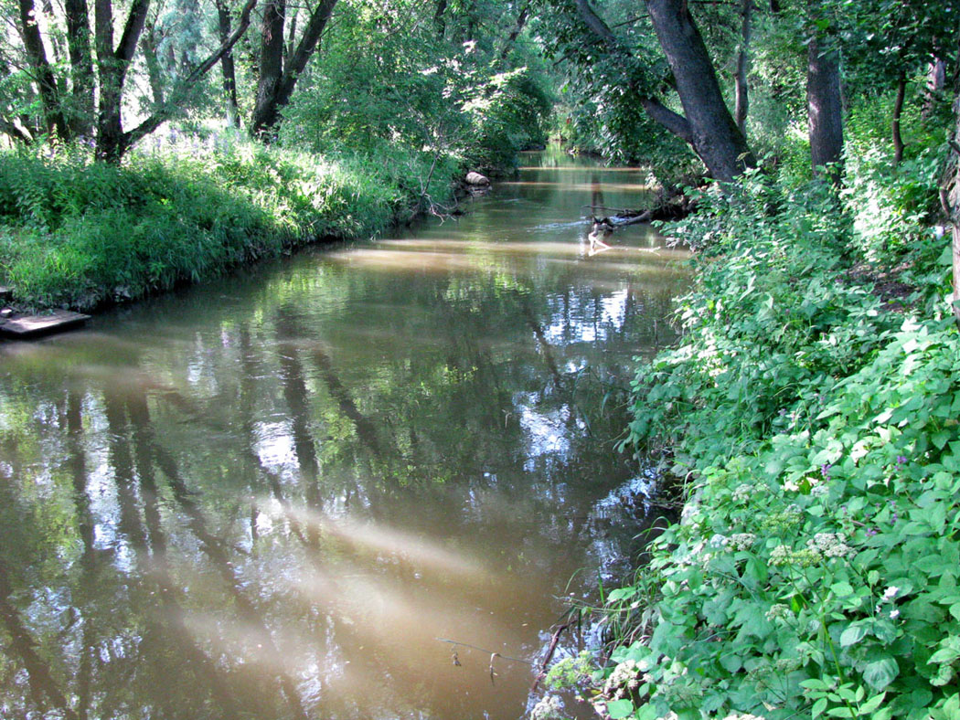 Долина Сходни в Куркино, image of landscape/habitat.