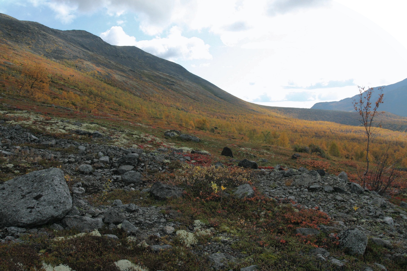 Кукисвумчорр, image of landscape/habitat.