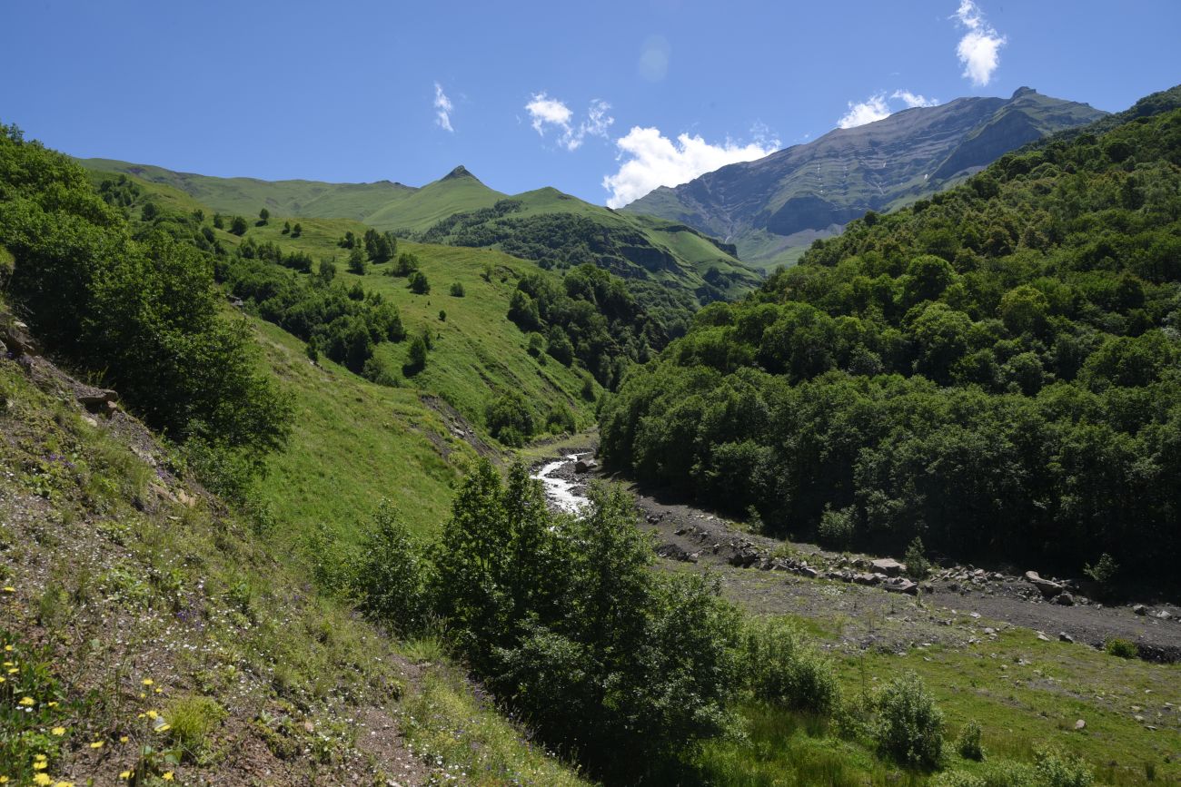 Верхнее течение Чадыри, image of landscape/habitat.