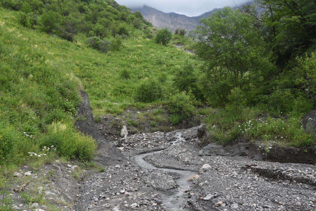 Ещё один левый приток Цесиахк, image of landscape/habitat.