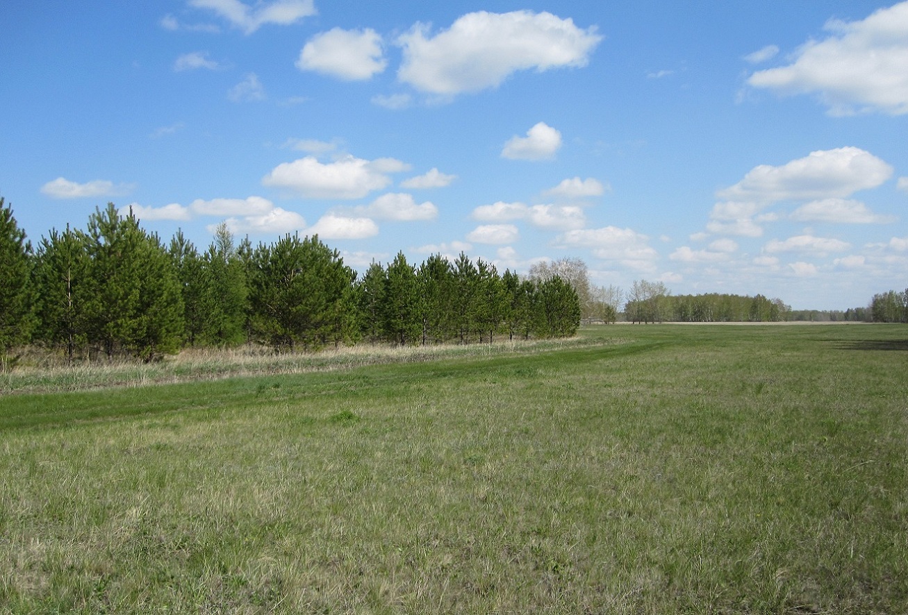 Благодатное, image of landscape/habitat.