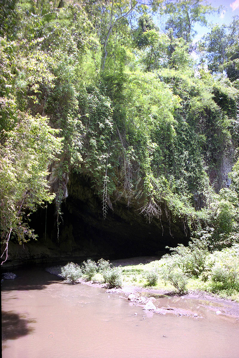 Там Лот, image of landscape/habitat.