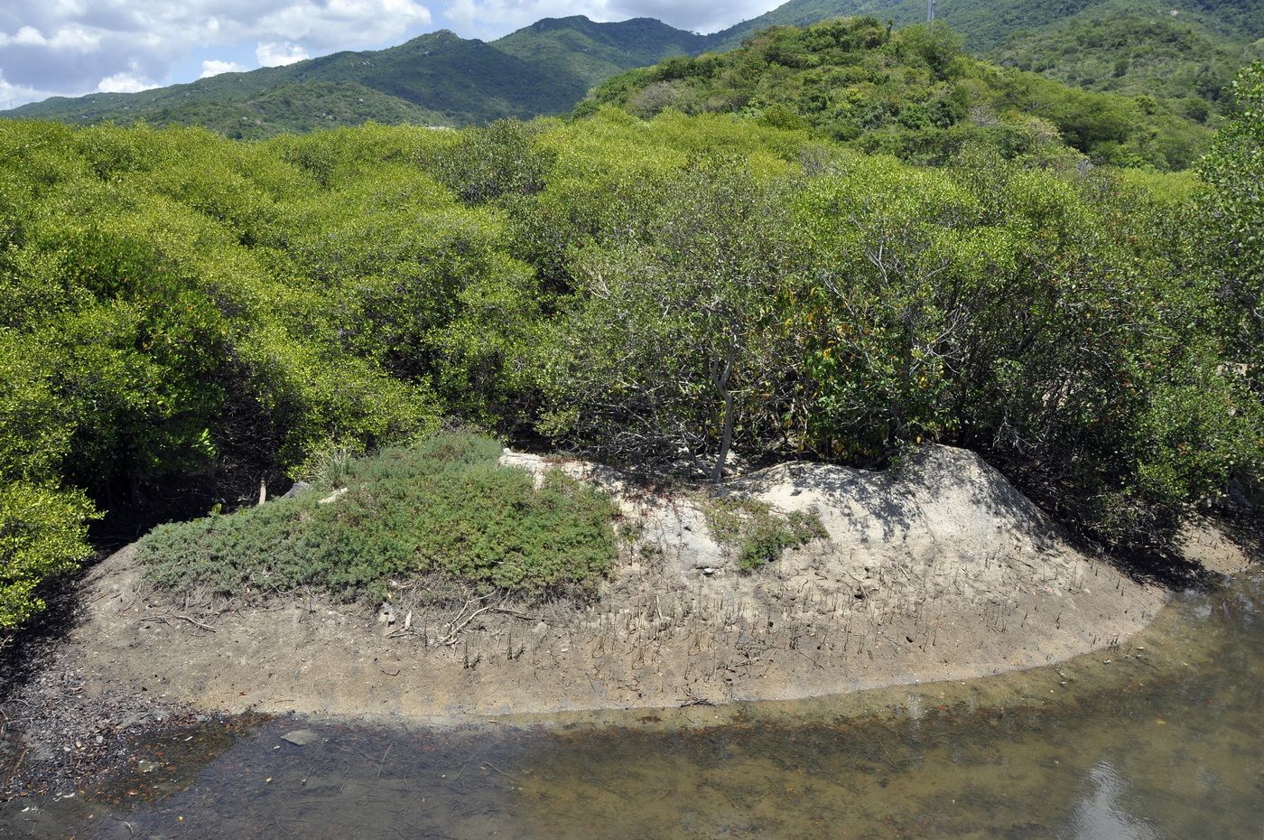 Остров орхидей (Hoa Lan), image of landscape/habitat.