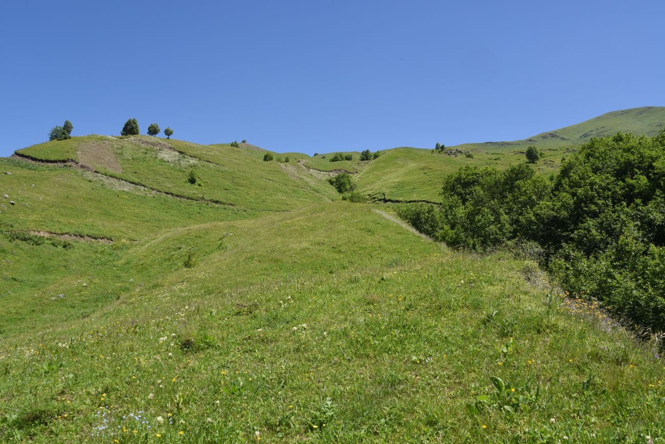 Верхнее течение Чадыри, image of landscape/habitat.