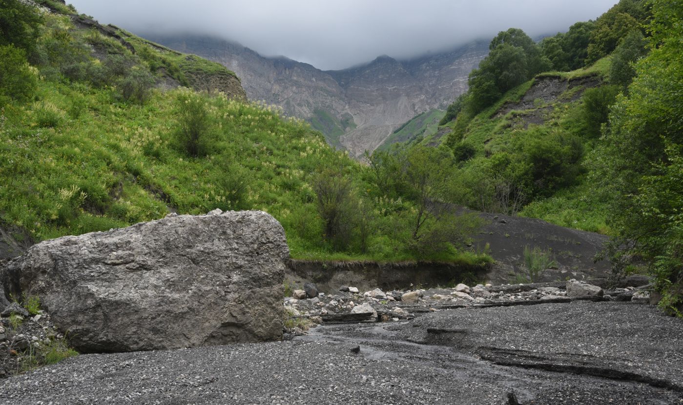 Ещё один левый приток Цесиахк, image of landscape/habitat.