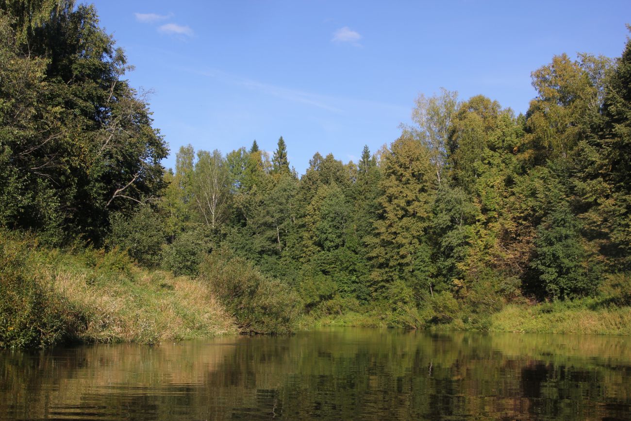 Низовье реки Вига, image of landscape/habitat.