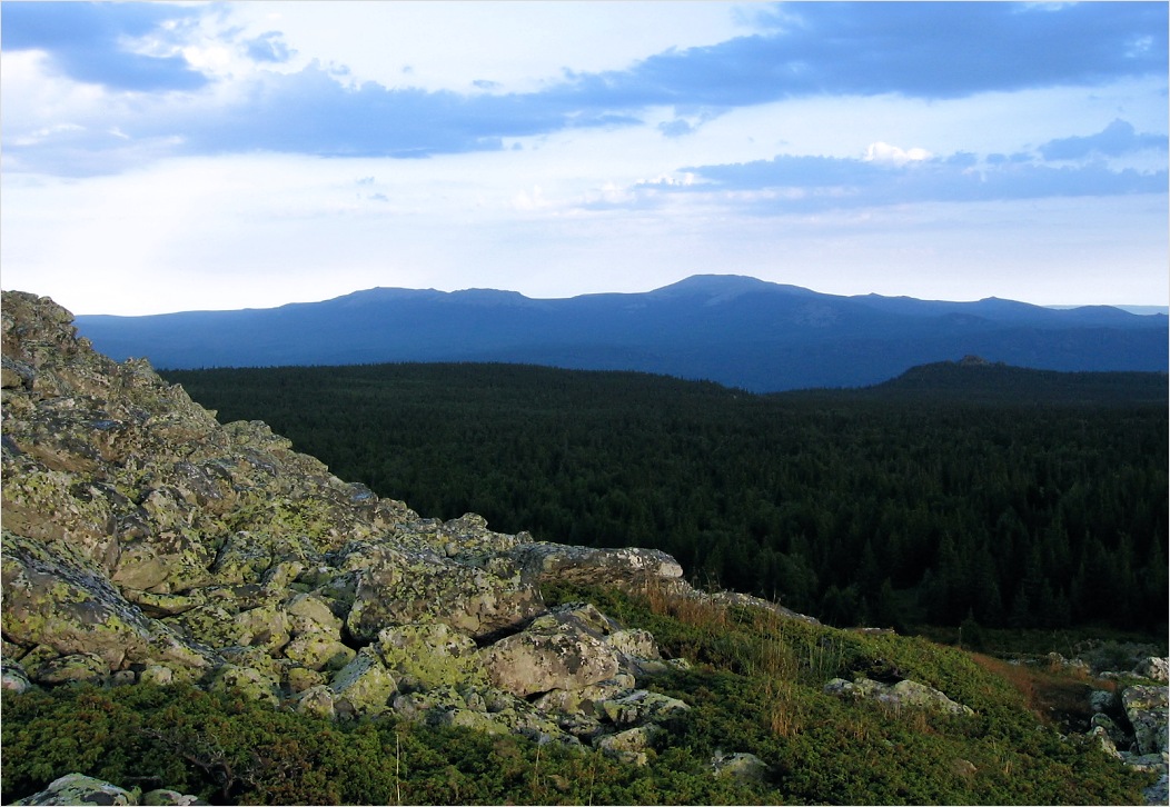 Зигальга, image of landscape/habitat.