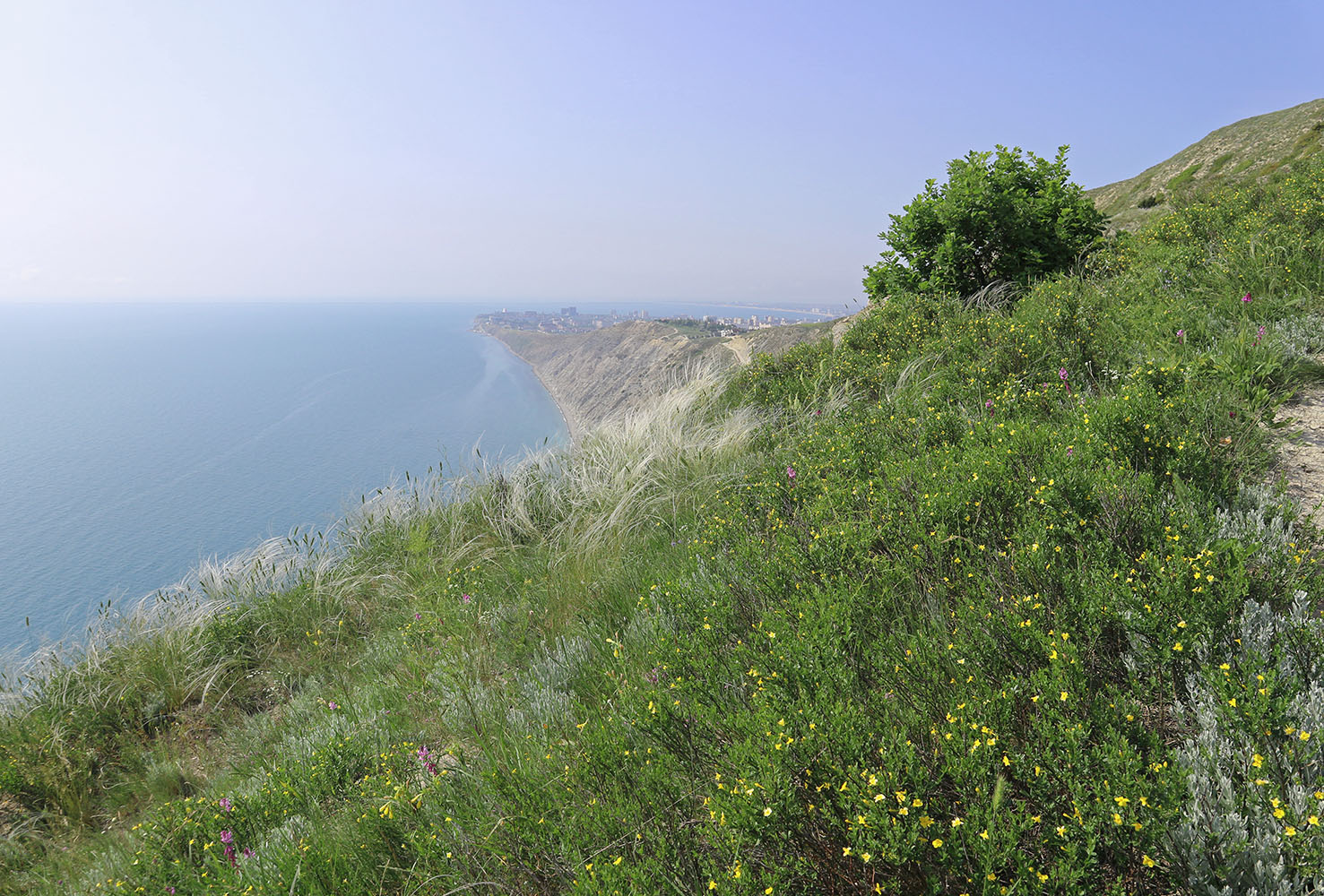 Супсех, image of landscape/habitat.