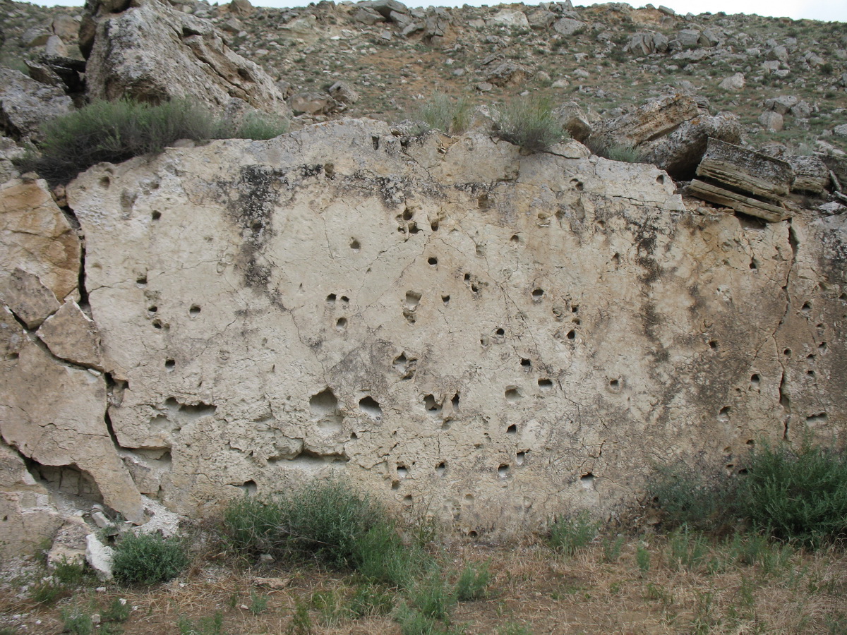 Жигалган, image of landscape/habitat.