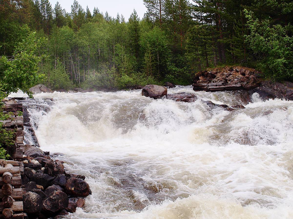 Колвица, image of landscape/habitat.