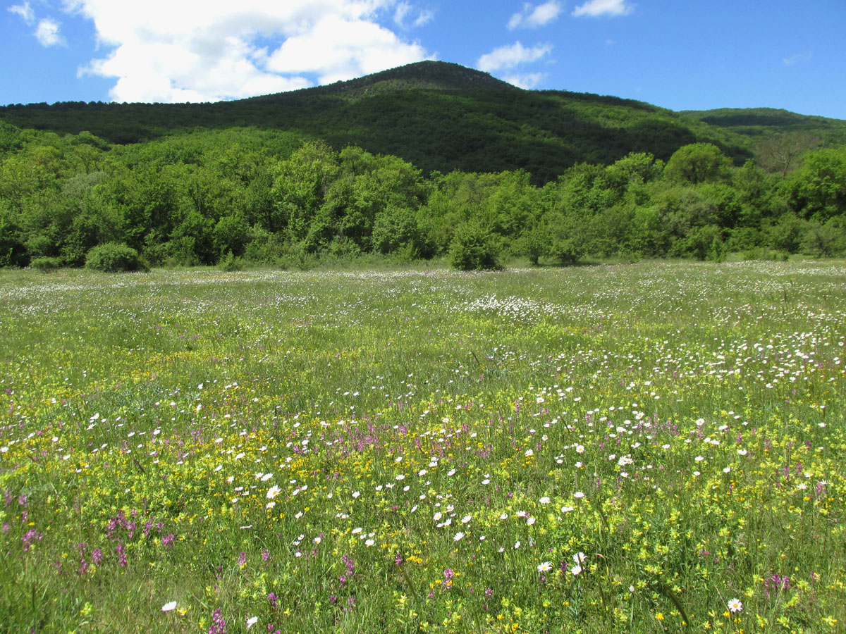 Чернореченский каньон, image of landscape/habitat.