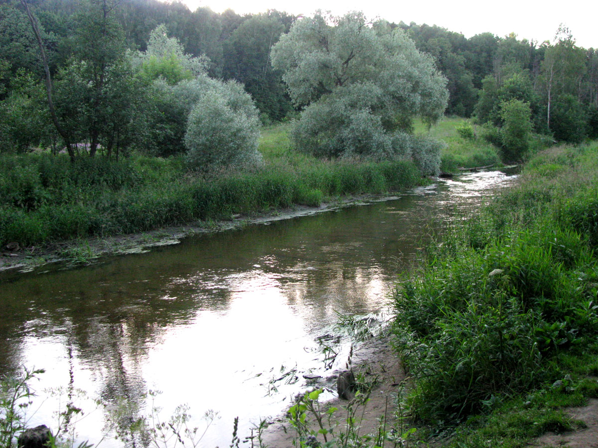 Долина Сходни в Куркино, изображение ландшафта.