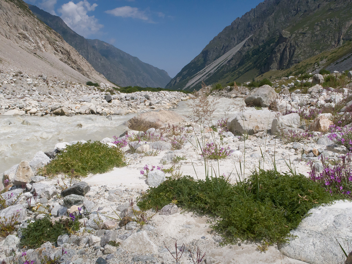 Черек-Безенгийский, image of landscape/habitat.